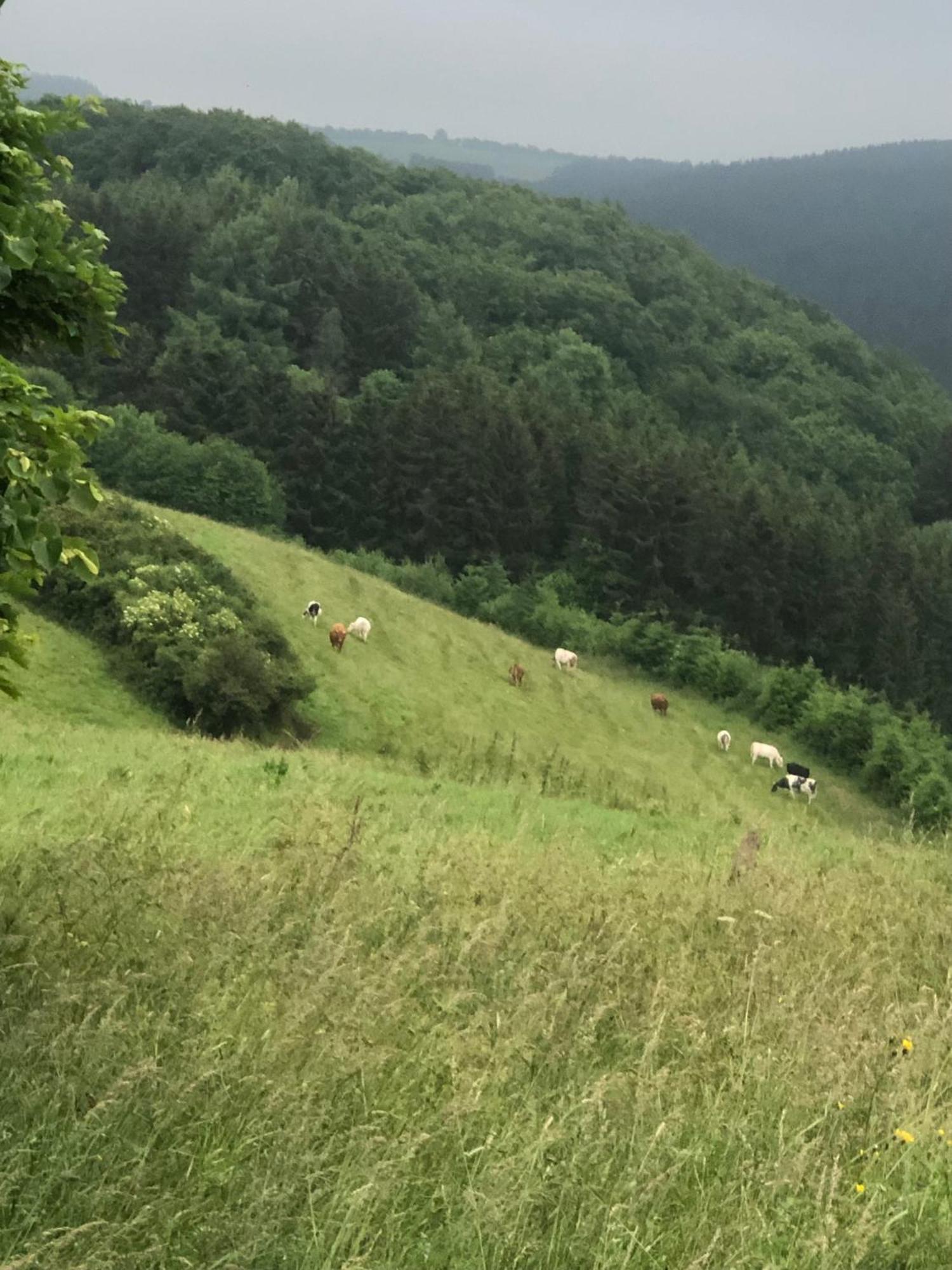 Ferienwohnung Westwind Schuller Zewnętrze zdjęcie