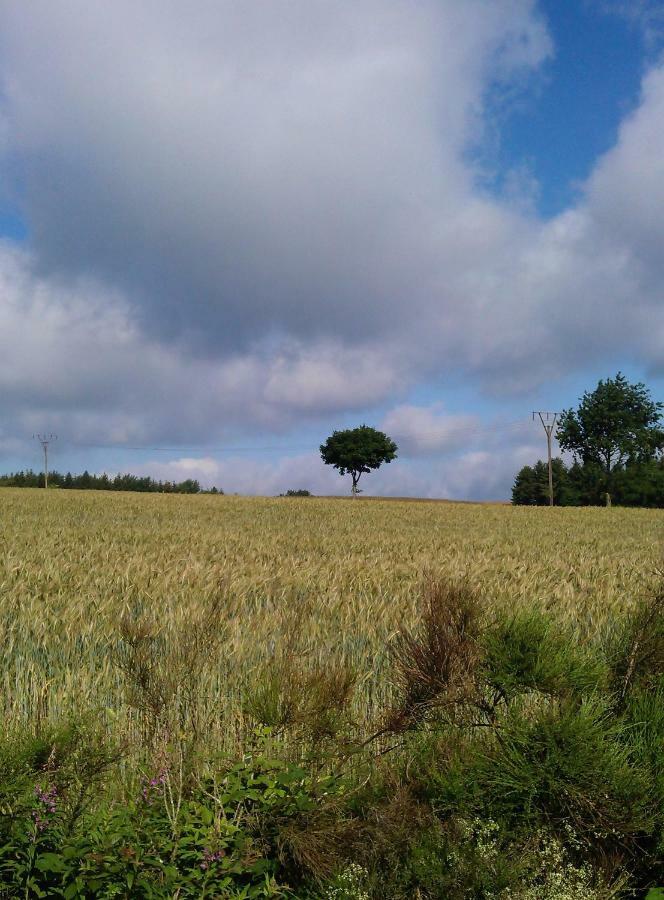 Ferienwohnung Westwind Schuller Zewnętrze zdjęcie